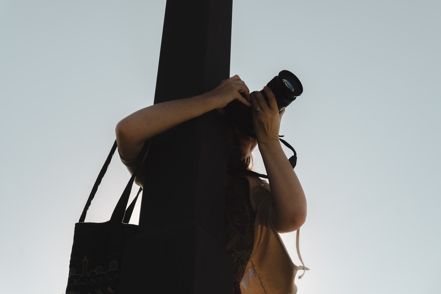 How Multimedia Shapes Our Collective Vision